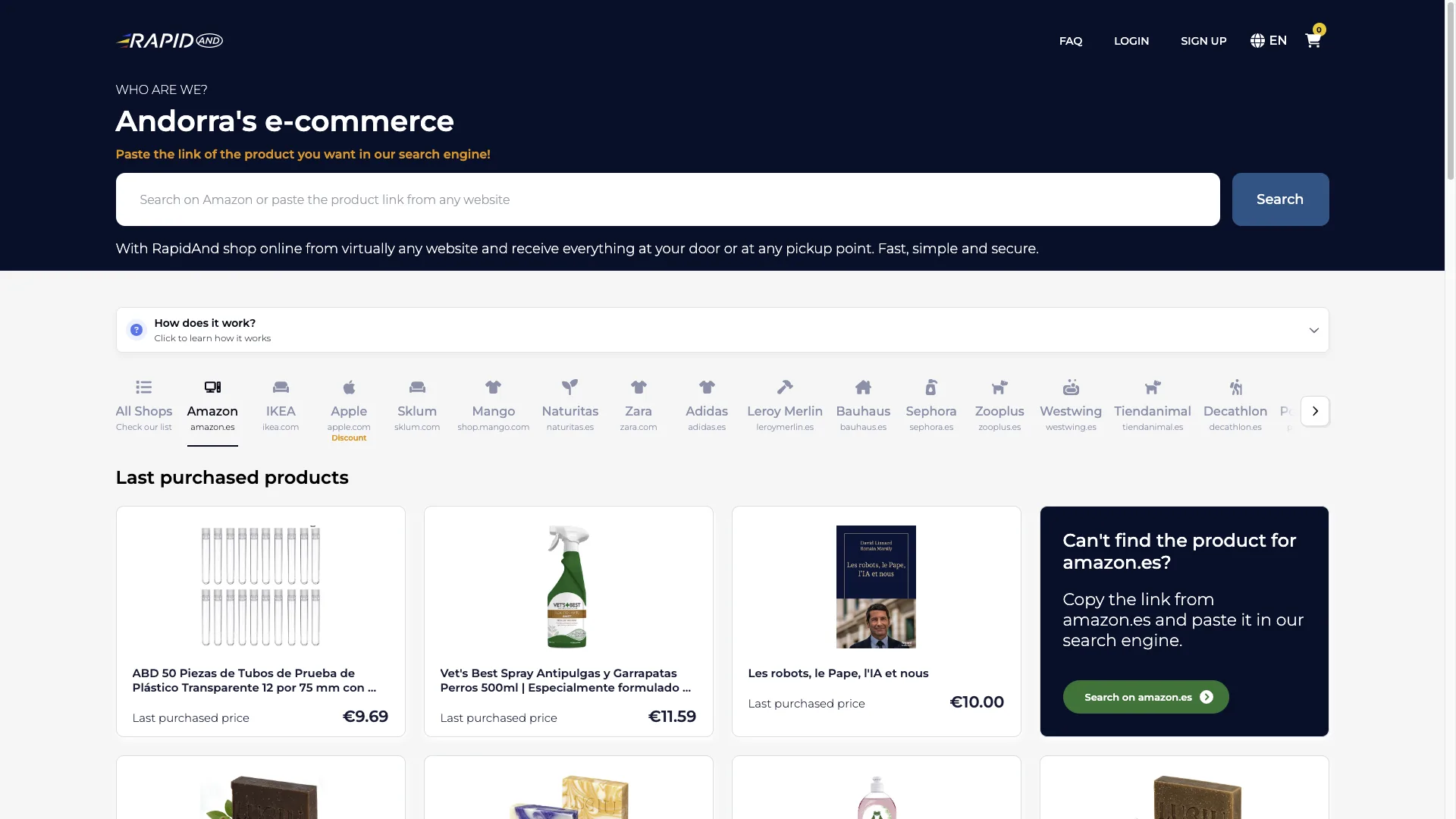 RapidAnd website preview